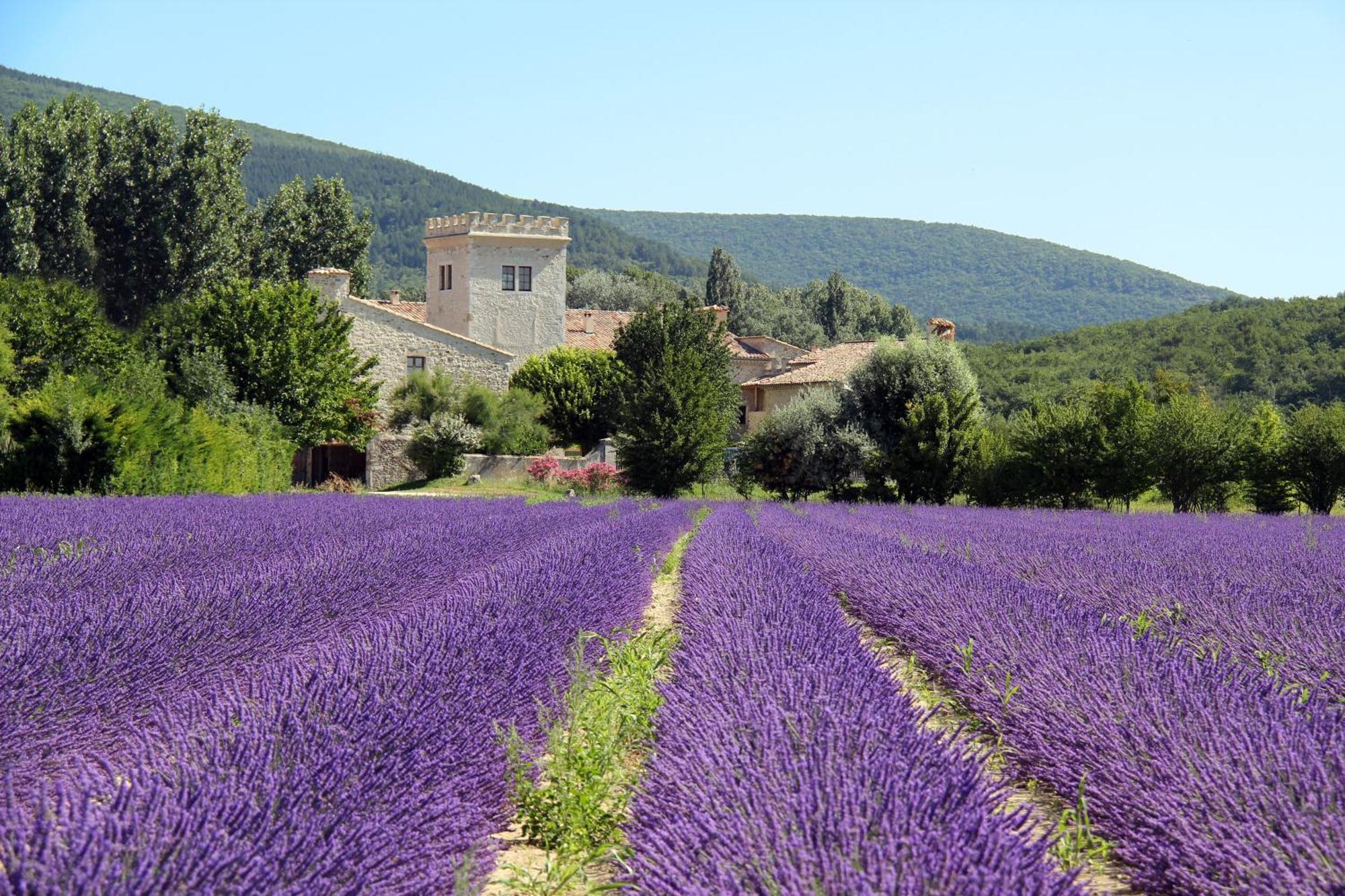 La Colombiere - Vue Imprenable Sur L'Ardeche - Tres Calme - Tres Bien Situe - Residence Privee Montélimar Exteriér fotografie